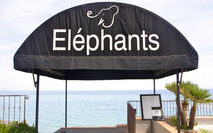 Les Eléphants