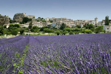 Draguignan, Lorgues: rosé, truffels, lavendel