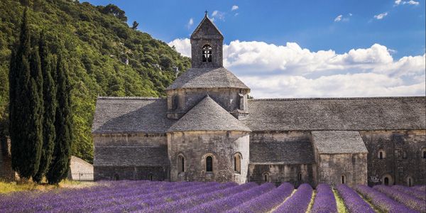 lavender abbey