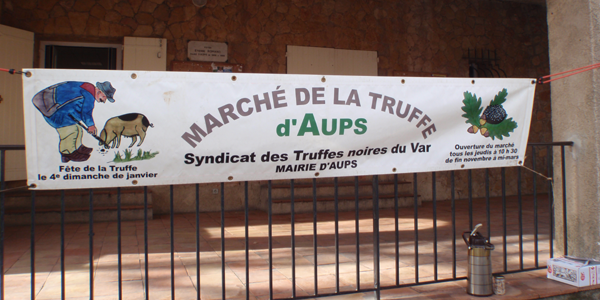 Marche de la truffe