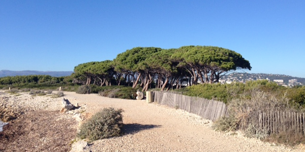 Landschap Sainte Marguerite