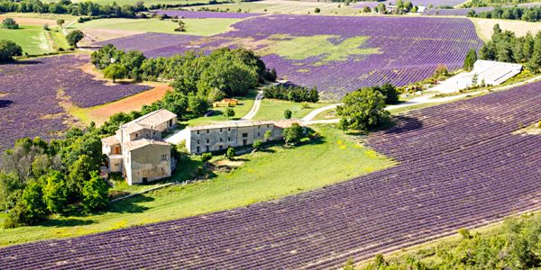 Landschap Valensoles