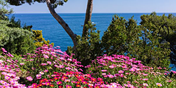 Park Jardin de Saint Martin Monaco