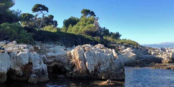 Rots op eiland Sainte Marguerite